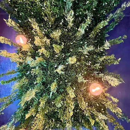 Cozy Hideout - Aparthotel