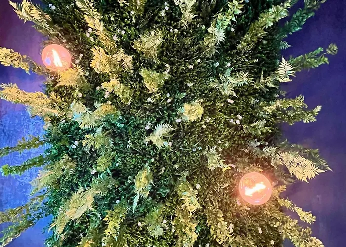 Cozy Hideout - Aparthotel