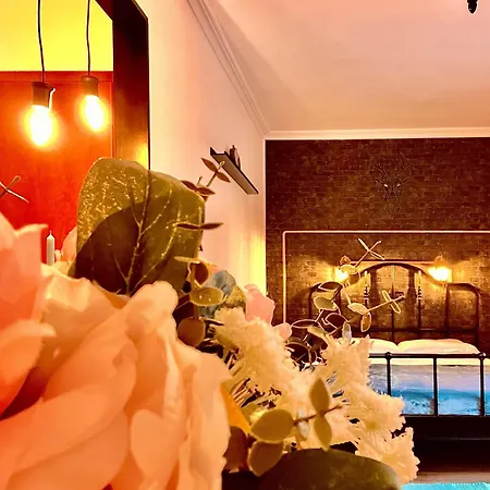 Cozy Hideout - Апарт-отель Тимишоара