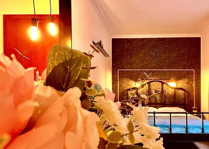 Cozy Hideout - Aparthotel Timişoara